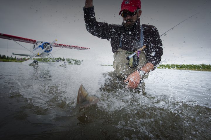 Catching a fish in Alaska accessed by a Seaplane on Aerocet Floats